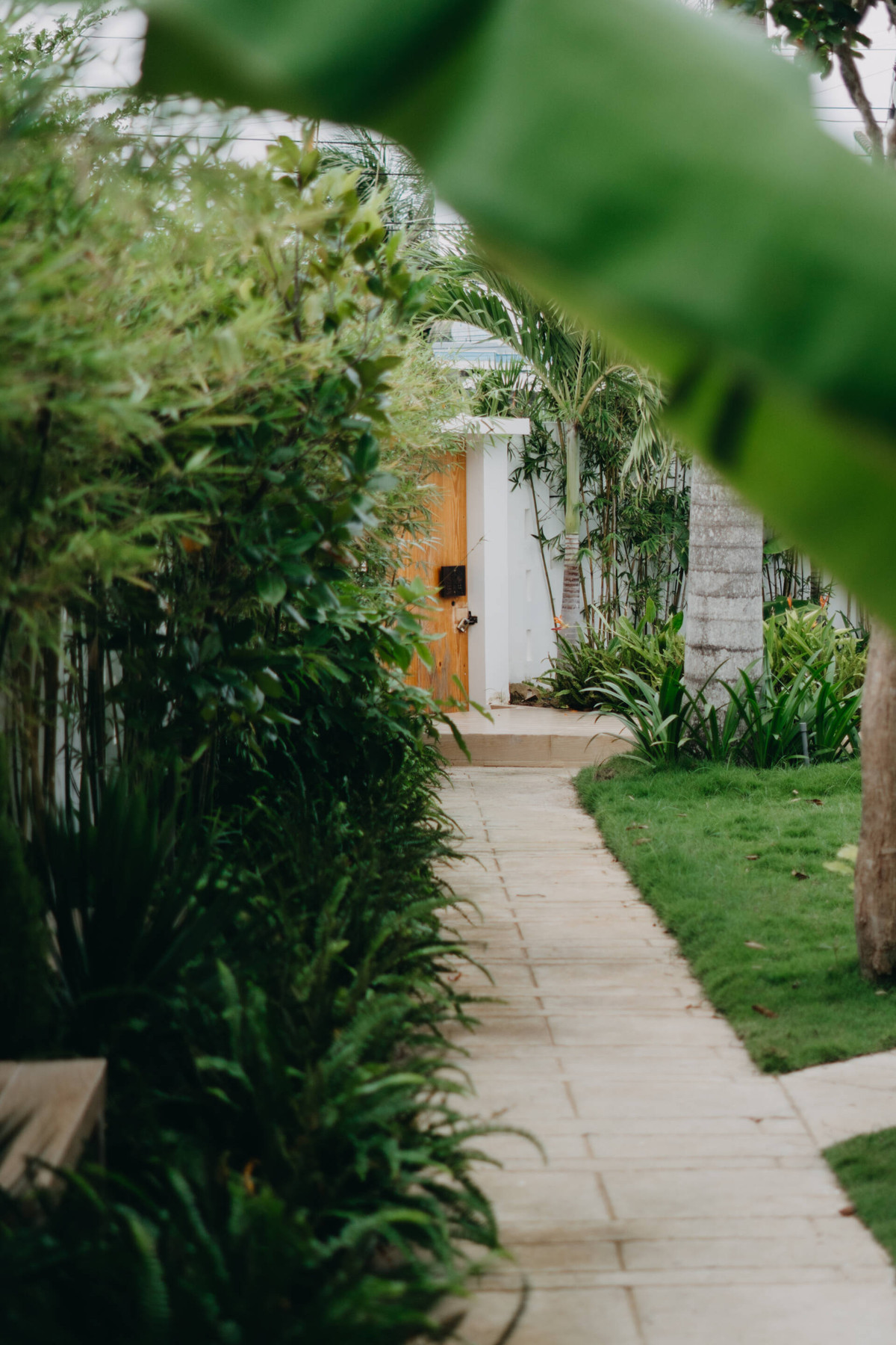 Lối vào nhà chính được trồng hàng trúc và những cây bụi thấp.