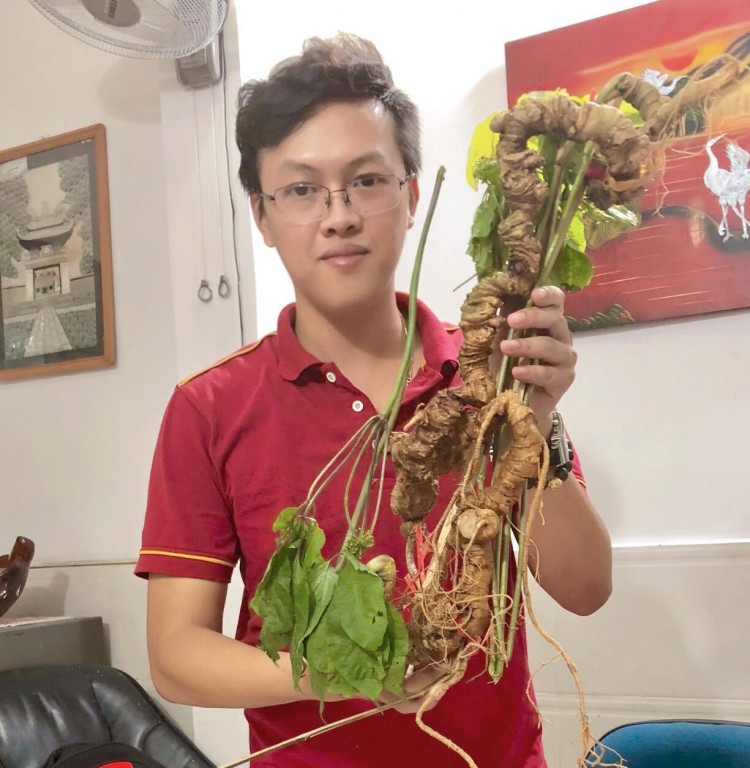 Trước đây, từng xuất hiện không ít những cặp sâm Ngọc Linh giá tiền tỷ gây xôn xao dư luận. Năm 2019, cặp sâm Ngọc Linh hơn 100 tuổi được bán với gần 1 tỷ đồng. Ảnh: Tuoitrethudo