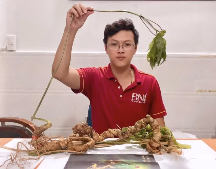 Hai củ sâm này đắt như vậy vì tự nhiên lại quý hiếm. Ảnh: Tuoitrethudo