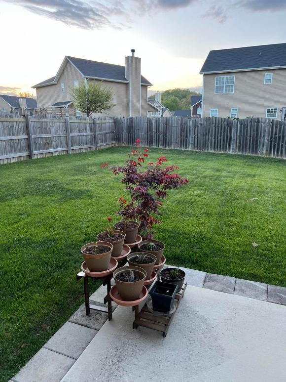 Dù không gian nhà rộng nhưng Louis Trần cảm thấy cô đơn vì không có vợ con bên cạnh. Ảnh: FBNV