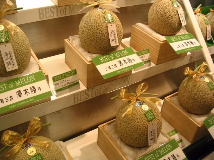 Ở Yubari, Hokkaido (Nhật Bản) bạn có thể tìm thấy loại dưa đắt nhất thế giới có tên Yubari. Giống dưa vàng nổi tiếng ở Nhật Bản từng đạt kỷ lục trong buổi đấu giá hồi tháng 5/2019 ở mức 45.000 USD/cặp. Ảnh: Hawaii Public Radio