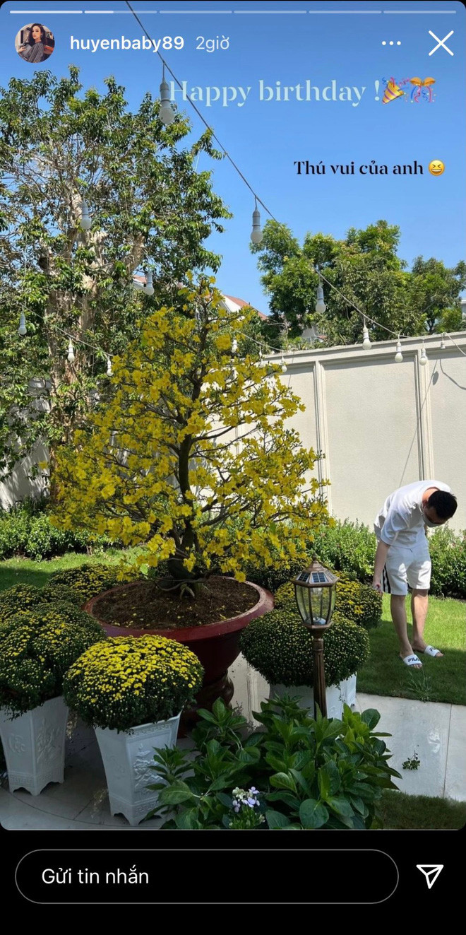Đủ các loại hoa từ giàn mai, cúc, đào, hoa giấy đến các loại cây lạ như dứa đỏ... đều có mặt trong biệt thự của Huyền Baby