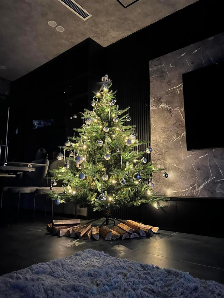 Phòng khách sử dụng gam màu trầm tạo không gian sang trọng.