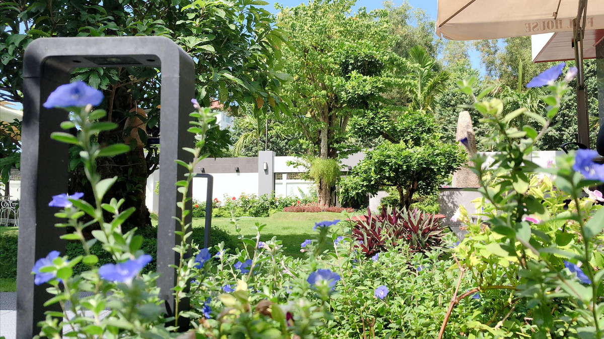 Khu vườn trong biệt thự có đủ các loại hoa và cây ăn quả.