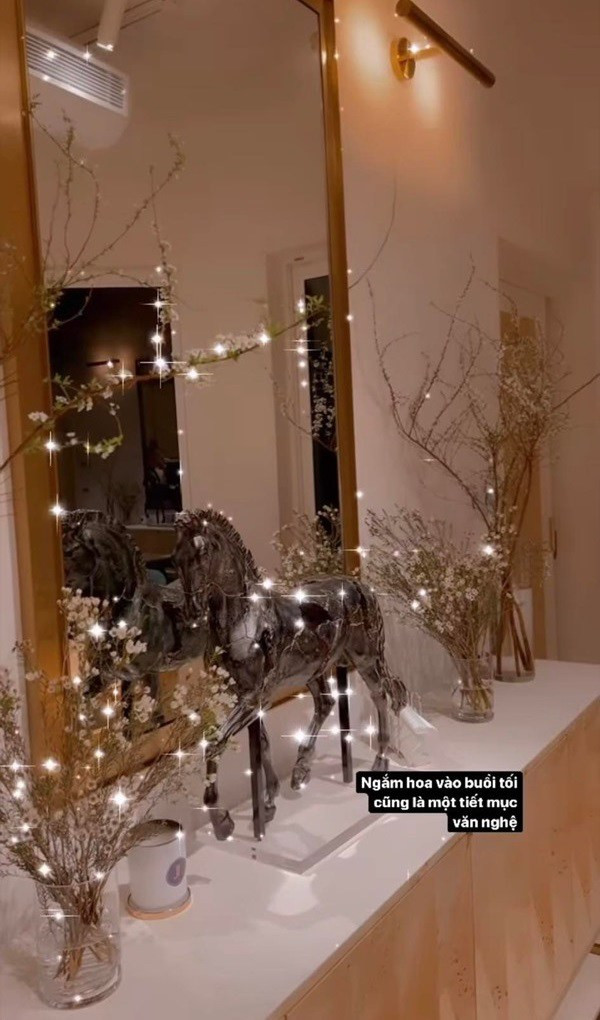 Năm đầu tiên đón Tết trong biệt thự mới triệu đô nên từ rất sớm Hồ Ngọc Hà đã mua hoa tuyết mai - loài hoa Tết đang hót để làm đẹp không gian.