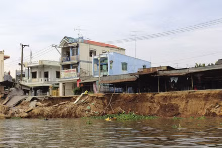 Huyen thoai nghiet suc “Nam Cheo” an minh duoi song Vam Nao-Hinh-2