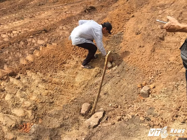 Thuc hu lang mo vo vua Tu Duc bi xoi tung?-Hinh-3