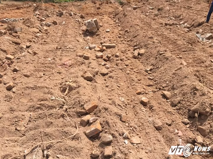 Thuc hu lang mo vo vua Tu Duc bi xoi tung?-Hinh-2