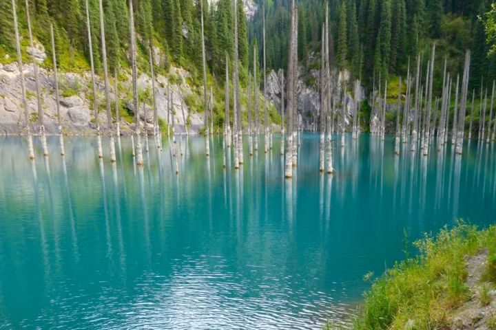 Rừng chìm hồ Kaindy là một nhóm cây ngập nước mọc bên trong lòng hồ Kaindy tại Kazakhstan và bao quanh bởi khung cảnh đẹp tuyệt trần.