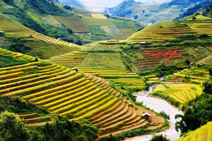 Ruộng bậc thang Mù Căng Chải, Việt Nam. Những cánh đồng được xây dựng theo hình bậc thang tại huyện miền núi của Việt Nam tạo ra một cảnh quan hấp dẫn với nhiều du khách xách ba lô lên và đi.
