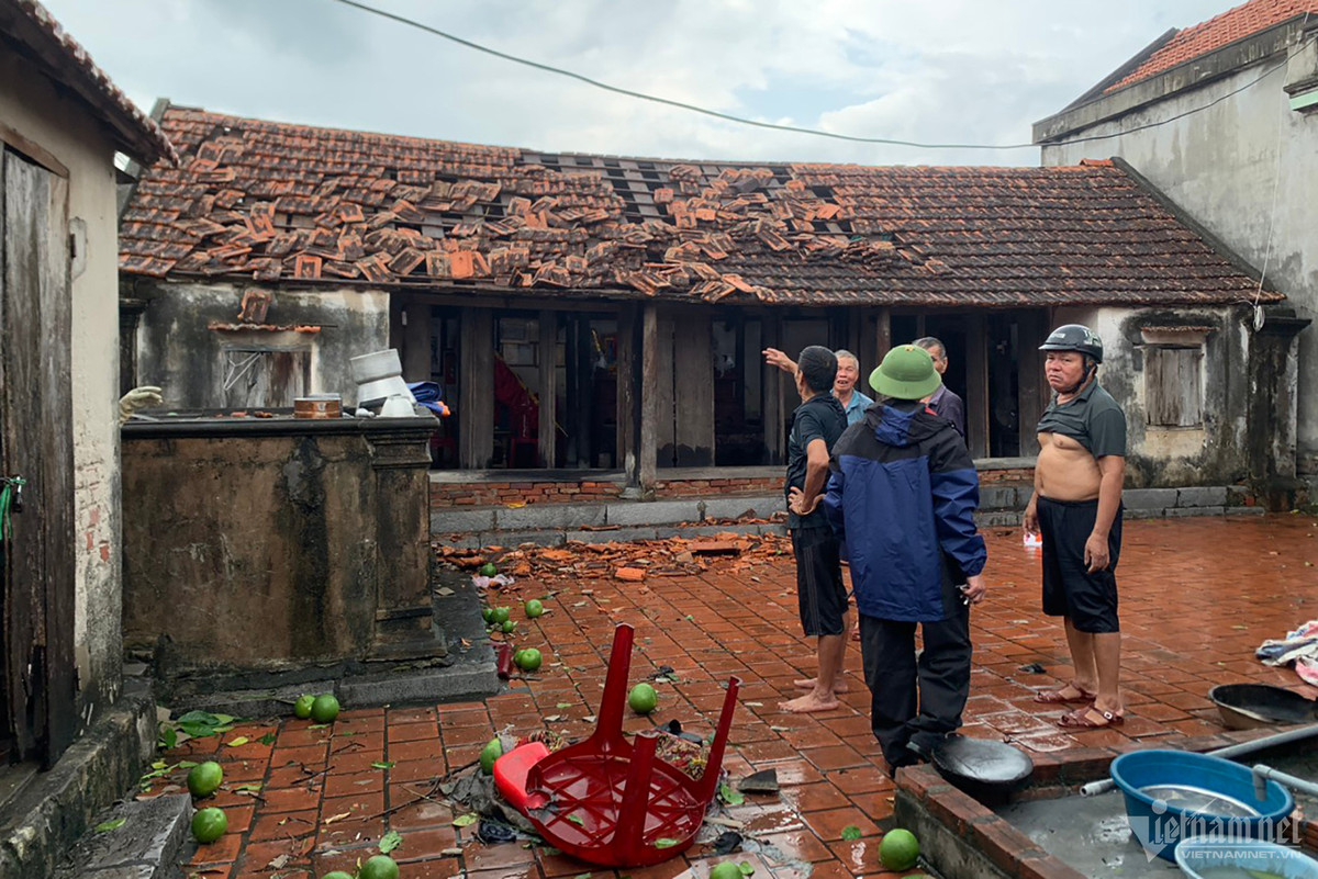 Voi rong o Quang Ninh khien hang loat ngoi nha bi toc mai-Hinh-5