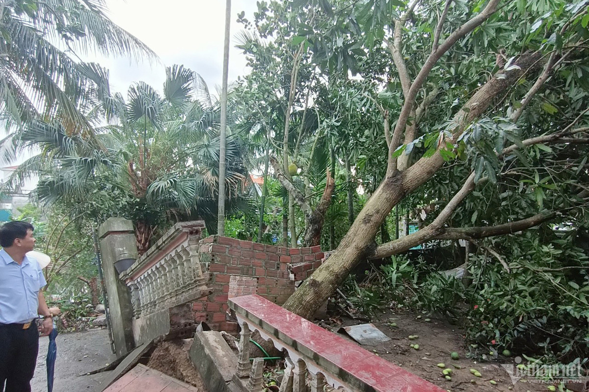 Voi rong o Quang Ninh khien hang loat ngoi nha bi toc mai-Hinh-3