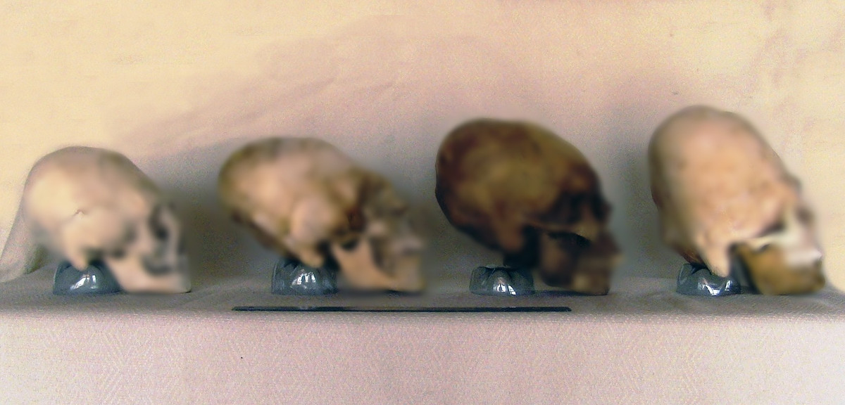 Từ đây, các nhà nghiên cứu tin rằng, các hộp sọ Paracas không thể bị làm biến dạng thông qua kỹ thuật "nắn dài" hộp sọ như một số nền văn minh cổ xưa từng làm.