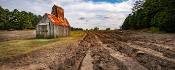 Người dân được phép mang theo dụng cụ đào xới, tìm kiếm kim cương, ngoại trừ dụng cụ sử dụng pin hoặc chạy bằng motor. Nếu tìm thấy kim cương, họ có thể mang về nhà.