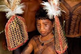 Trong lễ trưởng thành của nam giới bộ tộc Satere-Mawe ở Brazil, một phong tục truyền thống được tiến hành. Đó là các bé trai khi 12 tuổi sẽ trải đeo chiếc bao tay làm bằng lá rừng và bên trong có đầy kiến đạn.