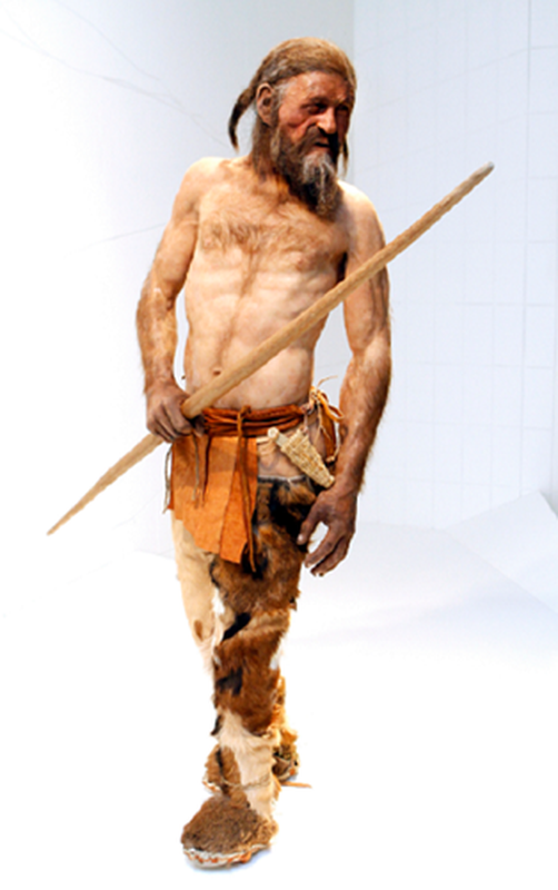 Tiếp đến, Otzi bị thương ở đầu và tay phải. Trong số này có vết thương do tự vệ. Điều này khiến các nhà nghiên cứu suy đoán Otzi có thể mất mạng khi bị một đối thủ tấn công bằng cung tên.