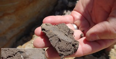 Người Kangju đã có những hoạt động giao thương với đế chế La Mã, một số triều đại phong kiến ở Trung Quốc (bao gồm nhà Hán), đế quốc Kushan...