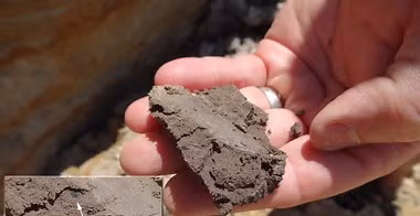 Người Kangju đã có những hoạt động giao thương với đế chế La Mã, một số triều đại phong kiến ở Trung Quốc (bao gồm nhà Hán), đế quốc Kushan...