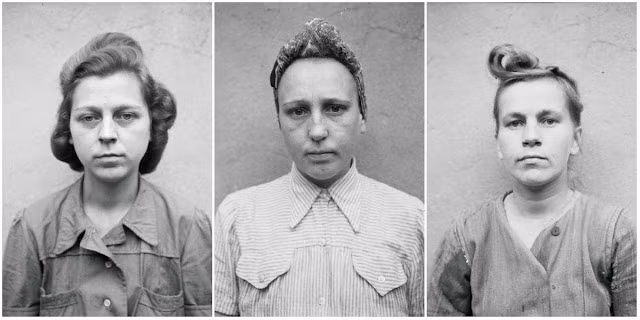 Diễn ra từ năm 1939 - 1945, Thế chiến 2 là một trong những cuộc chiến đẫm máu nhất lịch sử nhân loại. Trong cuộc chiến khốc liệt này, trùm phát xít Hitler và chính quyền Đức quốc xã đã xây dựng các trại tử thần khét tiếng như Auschwitz, Majdanek... để giam giữ, tra tấn và sát hại người Do Thái.