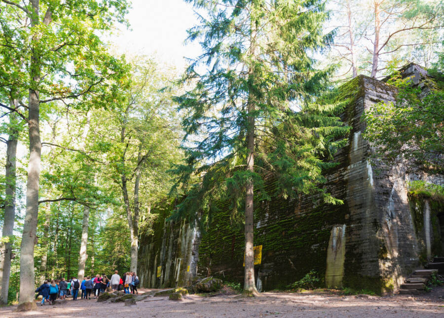 Trong cuộc khai quật tại nơi "cánh tay phải" của Hitler từng sống và làm việc, các chuyên gia tìm thấy hài cốt của 5 người. Trong số này có thi hài của 3 người lớn, một thiếu niên và một trẻ em.