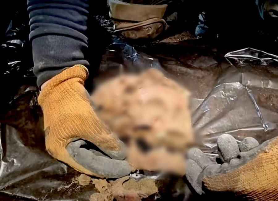 Các chuyên gia không tìm thấy bất cứ mảnh quần áo hay đồ trang sức nào cùng với 5 bộ hài cốt. Từ đây, họ nhận định, 5 người trên được chôn cất trong tình trạng không mảnh vải che thân.