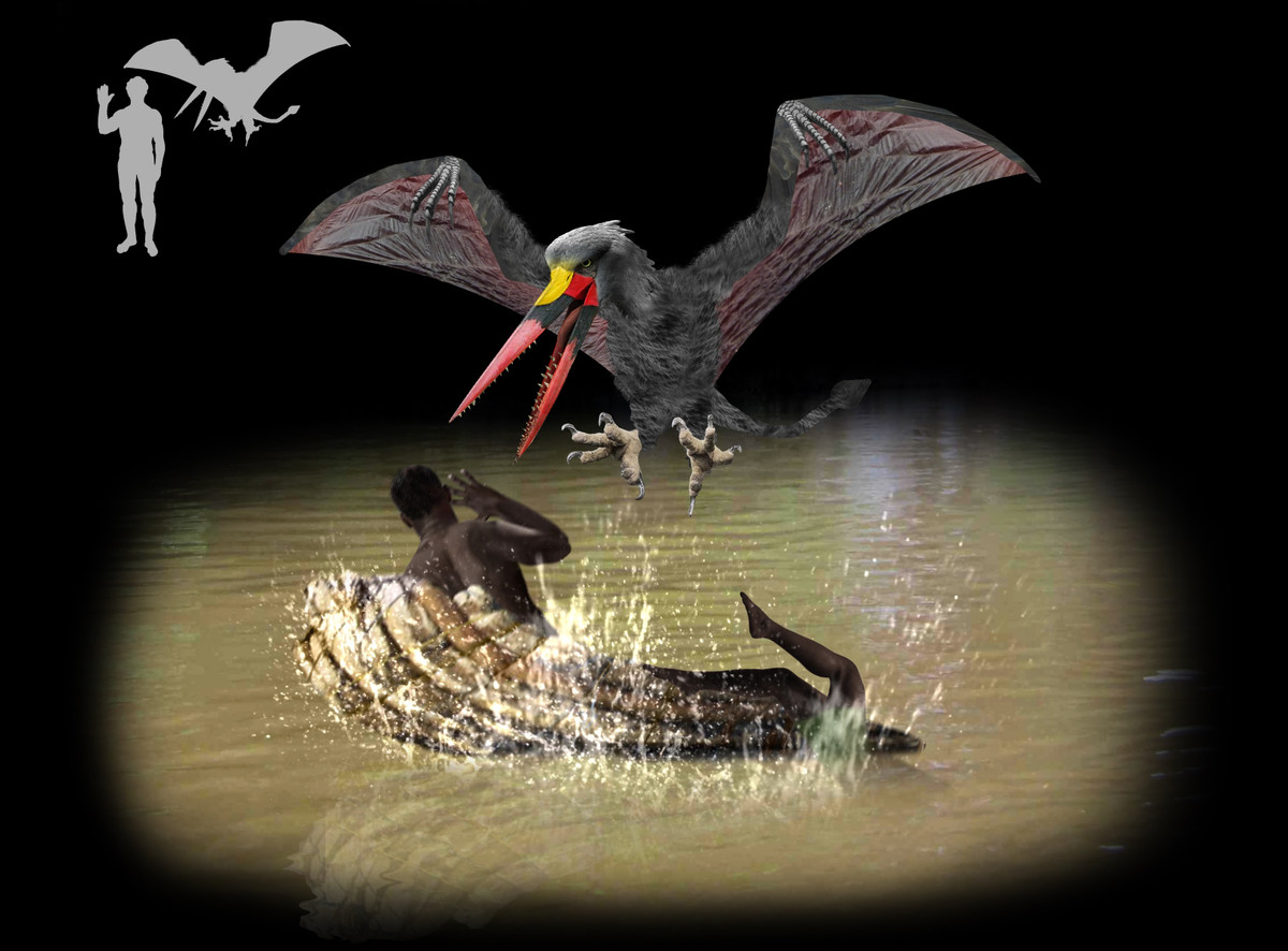 Đáng sợ không kém Inkanyamba là quái thú Kongamato. Nó được mô tả có ngoại hình trông giống như thằn lằn bay và thường xuất hiện ở vùng biên giới giữa Zambia, Angola và Congo.