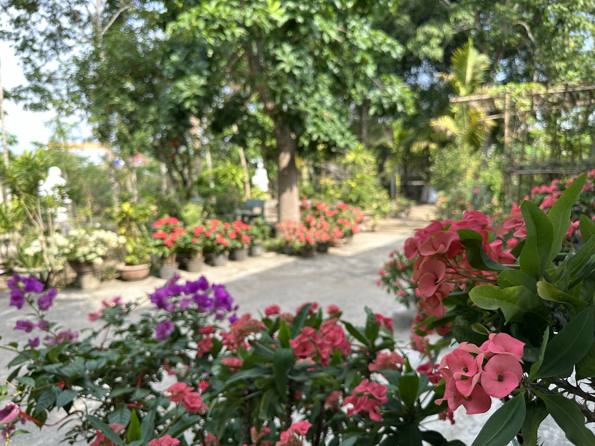 Noi chua lanh tot nhat chinh la nha cua me