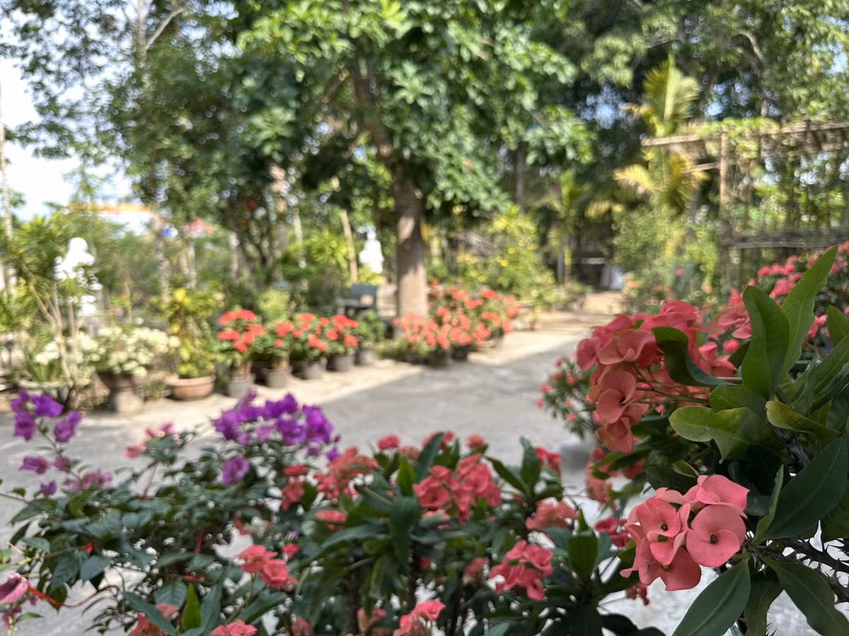 Noi chua lanh tot nhat chinh la nha cua me