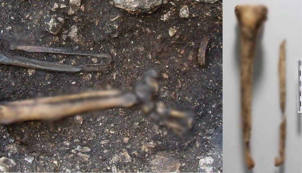 Các chuyên gia đã tìm thấy một đai sắt và những phần còn sót lại của một khúc gỗ và mẩu da thuộc. Họ cho rằng đây là một chiếc chân giả bằng gỗ.