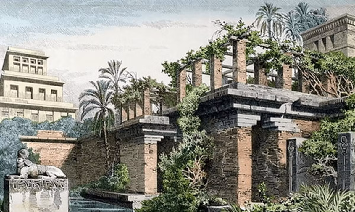 Theo đó, Vườn treo Babylon trồng nhiều loại cây, dây leo được mang từ quê hương của hoàng hậu Amyitis và nhiều nơi trong khắp vương quốc. Toàn bộ khu vườn được chống đỡ bởi những cột trụ và nằm trong lâu đài.