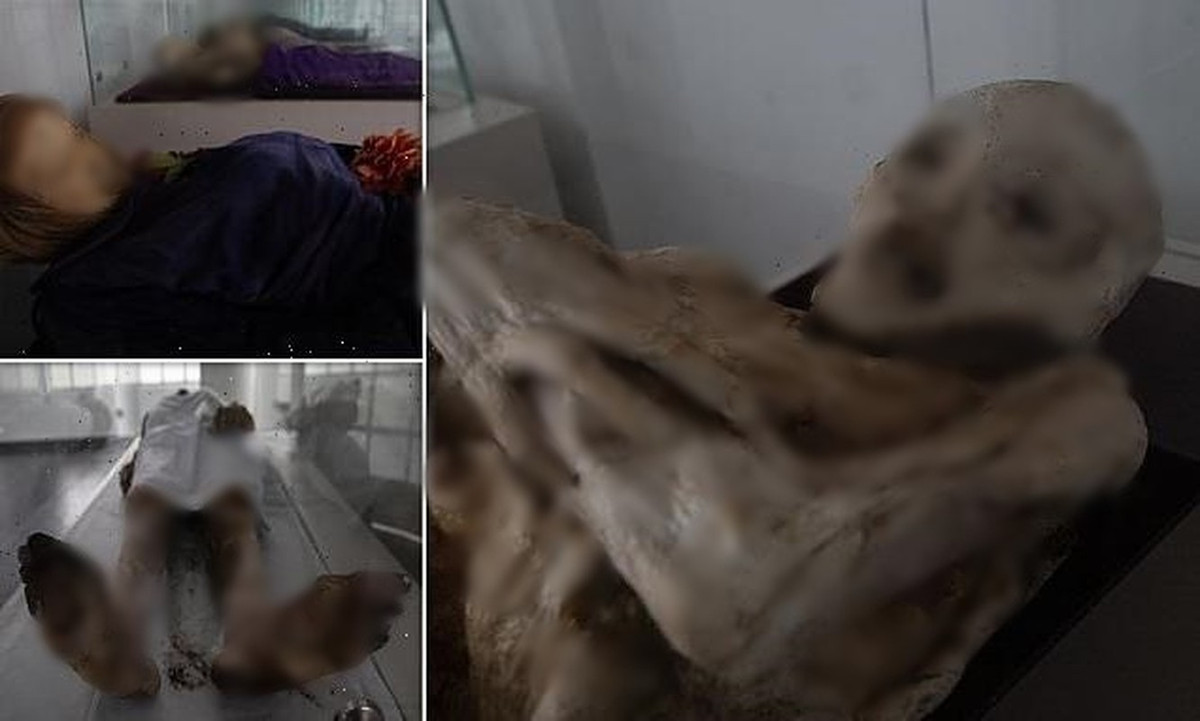 Nhiều thi hài được chôn cất trong nghĩa trang San Bernardo không bị phân hủy theo thời gian. Thay vào đó, những thi hài đó trông giống như vừa mới qua đời không lâu khi vẫn còn nguyên tóc, răng, móng chân...