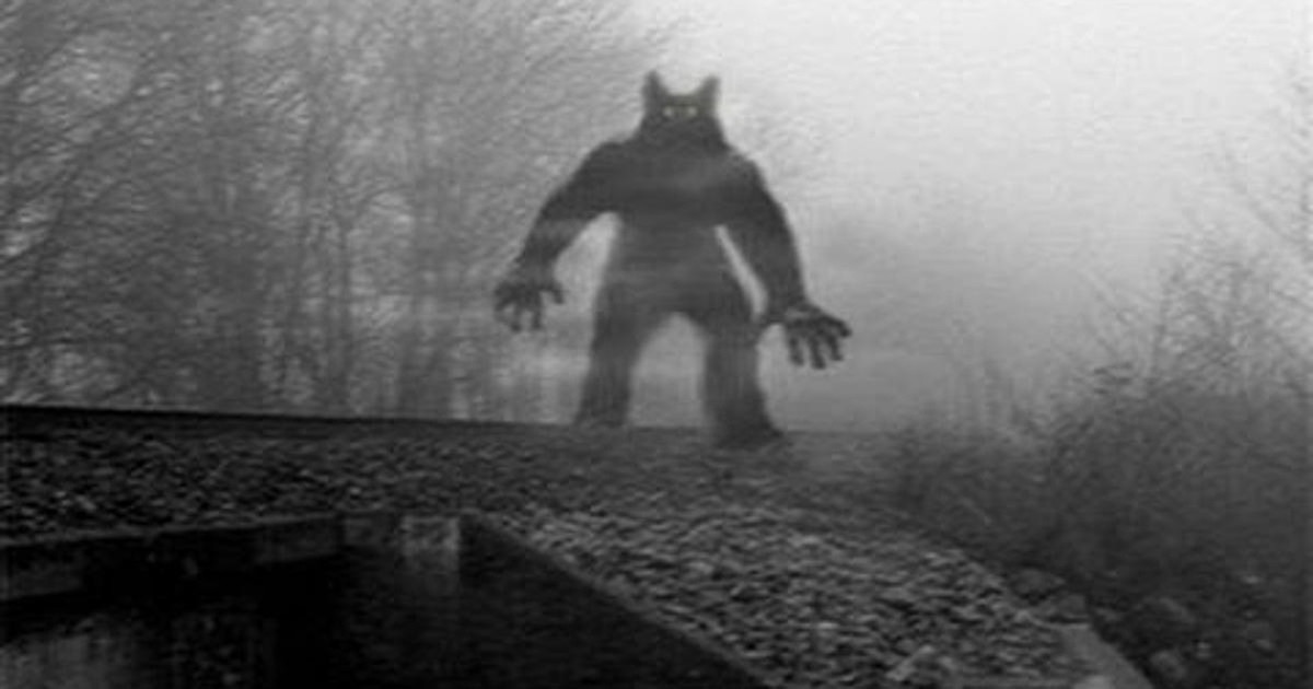 Theo miêu tả của các nhân chứng, "người chó" đi lại giống như con người khi có thể đứng thẳng trên hai chân. Nó sở hữu chiều cao hơn 2m.