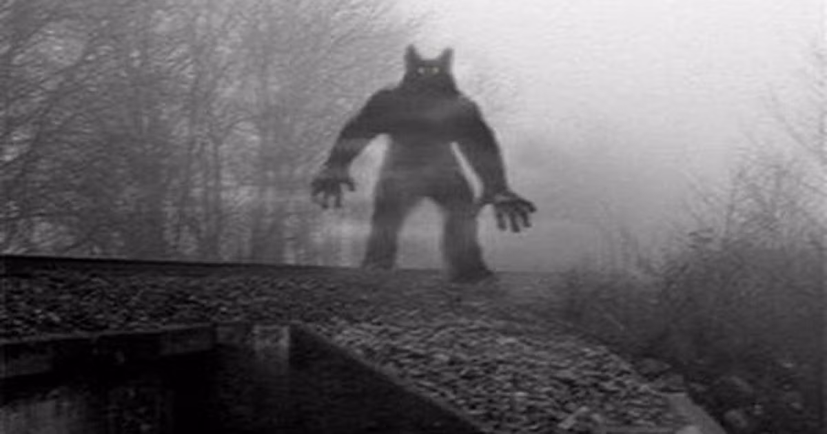 Theo miêu tả của các nhân chứng, "người chó" đi lại giống như con người khi có thể đứng thẳng trên hai chân. Nó sở hữu chiều cao hơn 2m.