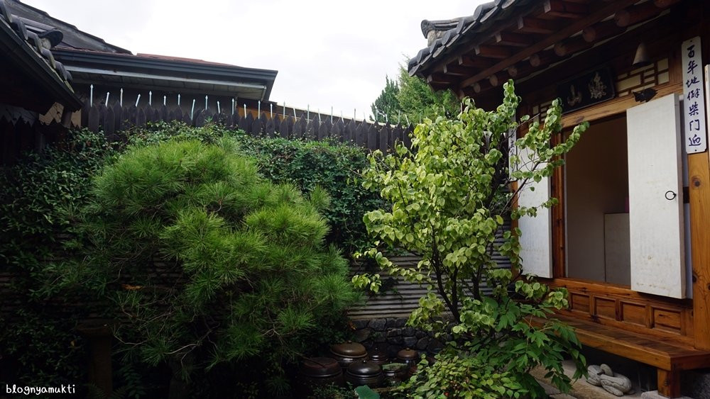 Các ngôi nhà hanok cũng thường có khu vườn nhỏ với nhiều cây cối xanh tốt.