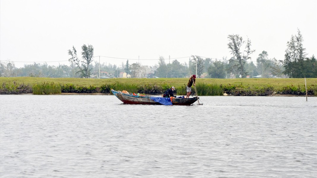 Vào mùa nắng, dòng chảy sông Trường Giang phụ thuộc thủy triều lên xuống. Khi thủy triều lên, nước đổ vào các cửa và chảy theo hai chiều đối nghịch, một phần phía bắc nước chảy theo hướng nam, một phần phía nam chảy theo hướng bắc. Ảnh: Quảng Nam
