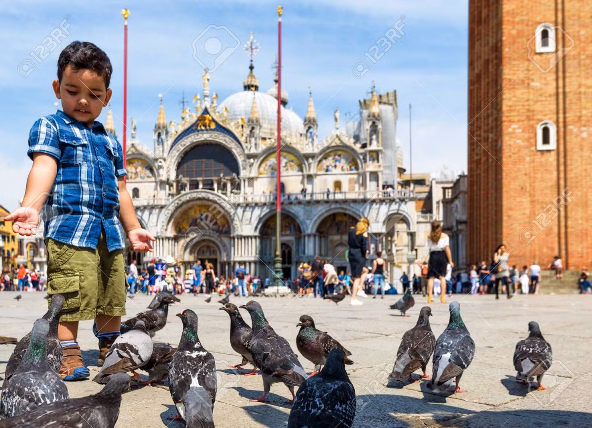 Việc dọn dẹp các di tích và sửa chữa thiệt hại do chim bồ câu gây ra khiến mỗi người dân Venice tiêu tốn 275 EUR/năm. Nếu người nào bị bắt gặp đang cho chim bồ câu ăn ở địa điểm nổi tiếng thế giới này thì có thể phải trả khoản tiền phạt lên tới 700 EUR.