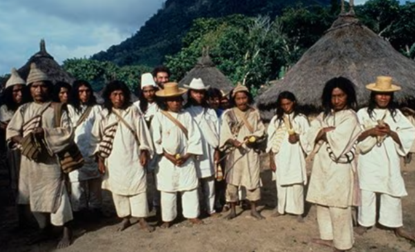 Nhờ việc ăn chay trường, lối sống hòa hợp cùng thiên nhiên mà những người bộ tộc Kogi có tuổi thọ trung bình lên đến 100 tuổi, gần như không mắc bệnh tật gì trong suốt cuộc đời. Ảnh: Alamy.