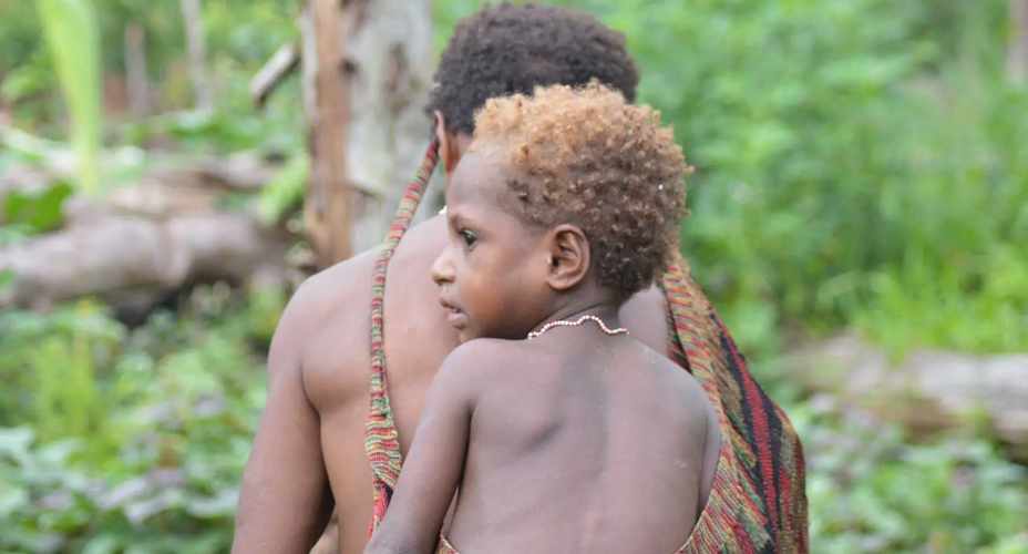 2. Bộ tộc Korowai ở Papua có khoảng 2.000 đến 3.000 người sống biệt lập với thế giới bên ngoài. Không giống như các bộ tộc khác xây nhà trên đất, bộ tộc Korowai sống trong những ngôi nhà trên cây. Ngôi nhà này của bộ tộc Korowai được gọi là rumah tinggi. Ảnh: AI.