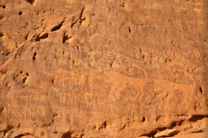 "Đối với một du khách đến Hegra, bạn cần biết nhiều hơn là chỉ nhìn thấy những ngôi mộ và các dòng chữ khắc rồi rời đi mà không biết ai đã tạo ra chúng và khi nào", David Graf, một chuyên gia về Nabataean, nhà khảo cổ học và giáo sư tại Đại học Miami, cho biết.