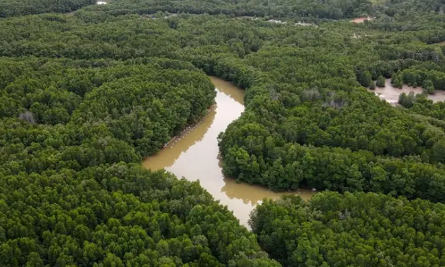 Nusantara nằm trên đảo Borneo, một trong những hòn đảo lớn nhất thế giới.