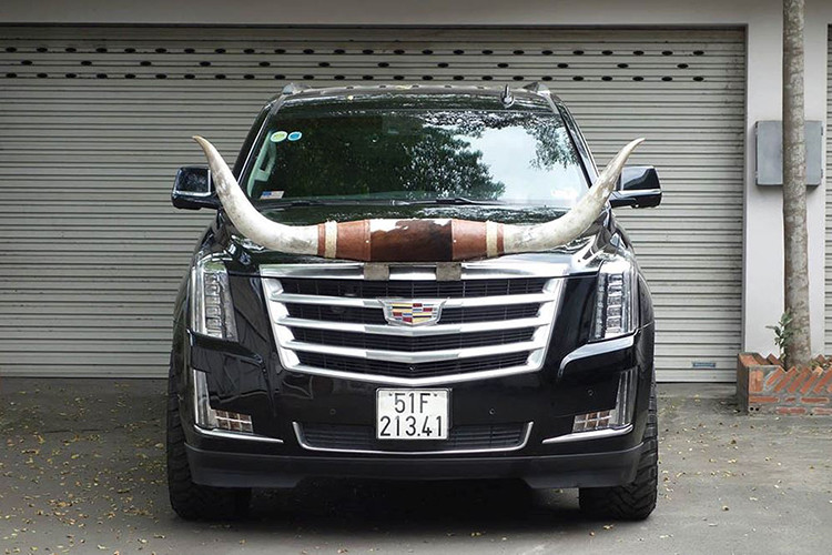 Ngoài việc gắn thêm cặp sừng và bộ lốp mới, chiếc xe sang Cadillac Escalade ESV này không có thay đổi gì.ở hữu kích thước D x R x C lần lượt là 5.697 x 2.045 x 1.880 mm. Chiều dài cơ sở của Escalade Platinum là 3.302 mm, dài hơn bản Escalade thường 350 mm.