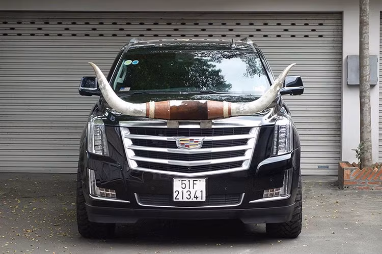 Ngoài việc gắn thêm cặp sừng và bộ lốp mới, chiếc xe sang Cadillac Escalade ESV này không có thay đổi gì.ở hữu kích thước D x R x C lần lượt là 5.697 x 2.045 x 1.880 mm. Chiều dài cơ sở của Escalade Platinum là 3.302 mm, dài hơn bản Escalade thường 350 mm.