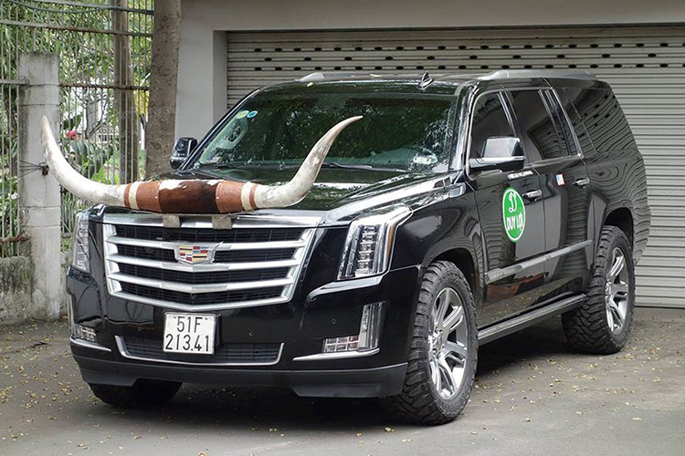 Chiếc xe SUV Cadillac Escalade ESV vừa mới đây đã được ông chủ Võng xếp Duy Lợi gắn thêm cặp sừng vào phần đầu xe, tạo nên hình ảnh lạ mắt chưa từng thấy trước nay. Chiếc Escalade ESV màu đen còn được gắn thêm bộ lốp địa hình gai lớn của Toyo cũng rất lạ lẫm.