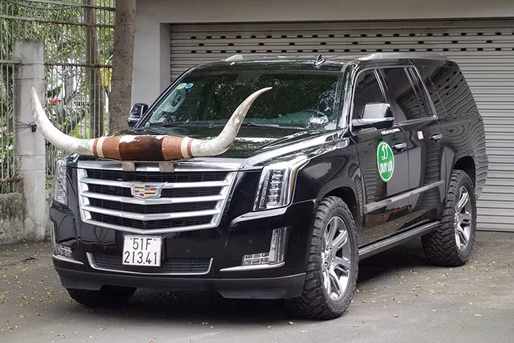 Chiếc xe SUV Cadillac Escalade ESV vừa mới đây đã được ông chủ Võng xếp Duy Lợi gắn thêm cặp sừng vào phần đầu xe, tạo nên hình ảnh lạ mắt chưa từng thấy trước nay. Chiếc Escalade ESV màu đen còn được gắn thêm bộ lốp địa hình gai lớn của Toyo cũng rất lạ lẫm.