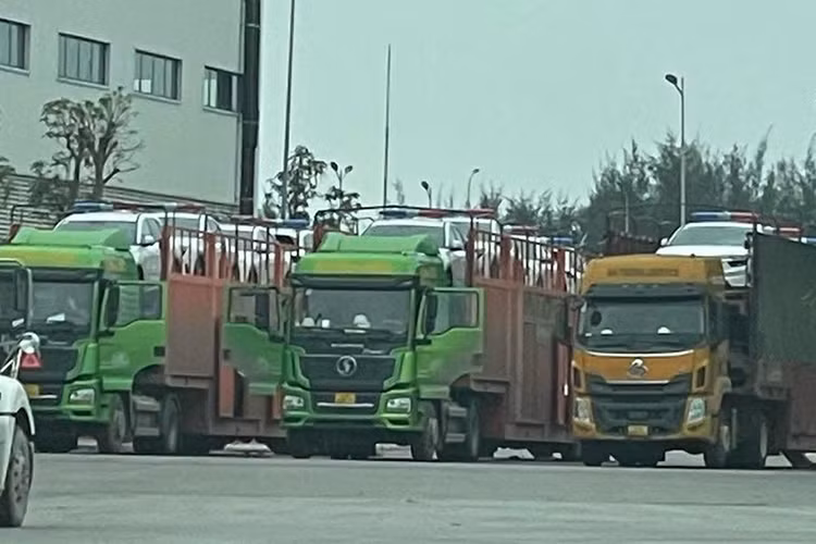 Những chiếc Vinfast VF8 này có đặc điểm nhận dạng của xe chuyên dụng, khác với các chiếc xe thương mại thông thường. Hiện chưa rõ các thông tin về những mẫu xe này thuộc đơn vị nào và dành cho thị trường Việt Nam hay không, tuy nhiên cũng gây được sự chú ý lớn.