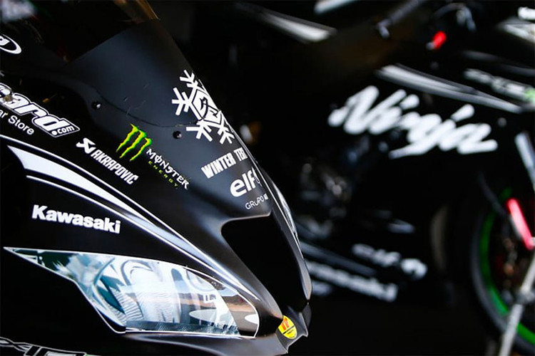 Bất kỳ ai quyết định mua phiên bản giới hạn này cũng sẽ nhận được hai thẻ VIP để được Đội đua Kawasaki đón tiếp và tham quan khu vực đường pit trong cuộc đua World SBK mà họ lựa chọn.