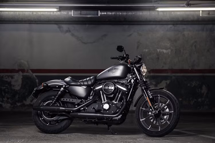 Harley-Davidson Sportster 2016 mang động cơ 883cc, làm mát bằng không khí, công suất đầu ra tối đa 50 mã lực và mô men xoắn cực đại 69 Nm tại 3.750 vòng/phút, đi kèm với hộp số sàn 6 cấp. Xe có bình xăng cỡ lớn 12.5 lít, xe có giá bán từ khoảng 10.000 USD tại thị trường Mỹ.