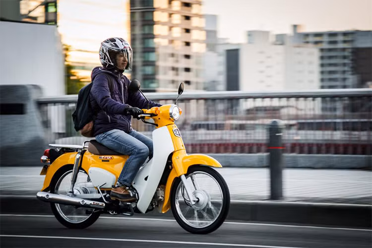 Được ưa chuộng trên toàn Thế giới, Honda Super Cub ngày nay đã giành được tình cảm từ cả nữ giới lẫn phái mạnh. Nó không chỉ hấp dẫn người dùng phổ thông, ngay cả những người yêu xe độ cũng giành tình cảm đặc biệt cho những chiếc Honda Cub.