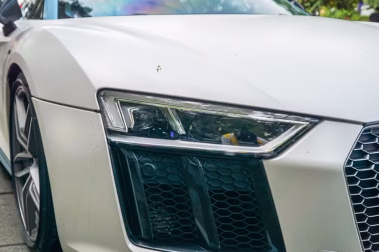 Hiện tại, Việt Nam đã nhập về khoảng 6 chiếc Audi R8 V10 Plus. Chiếc của Cường Đô la là một trong hai chiếc sở hữu ngoại thất màu đen nguyên bản. Siêu xe này sở hữu khung làm bằng nhôm 100% giúp giảm giá thành nhưng vẫn đảm bảo độ cứng và nhẹ. So với những siêu xe dùng khung sợi carbon, R8 rẻ hơn rất nhiều.