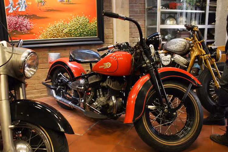 Cũng theo Ban tổ chức, Day of H.O.G sẽ không chỉ có môtô mà đi kèm đó còn có các hoạt động văn hóa như lễ hội bia mùa xuân, ẩm thực đường phố, biểu diễn âm nhạc điện tử với các DJ nóng bỏng,các chương trình biểu diễn đường phố (ảo thuật, chơi nhạc, nhảy warm up..).